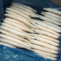 Chemical Treated Frozen Gigas Squid Tube U3 U5